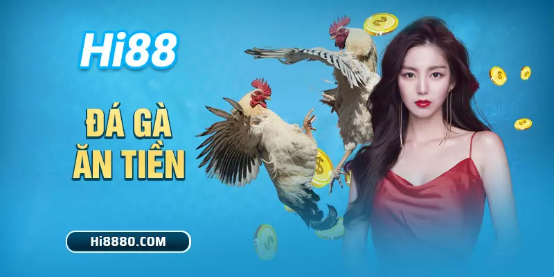 đá gà ăn tiền